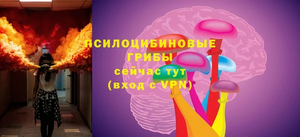 apvp Новозыбков