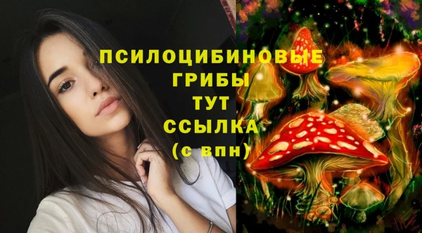 дурь Новокубанск