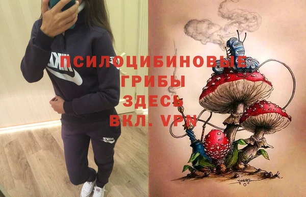 дурь Новокубанск