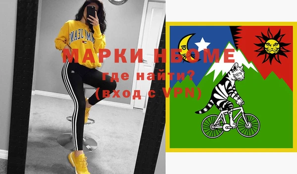мдпв Няндома