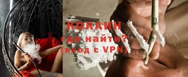 мдпв Няндома