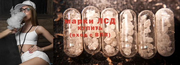 apvp Новозыбков