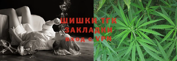 мдпв Няндома