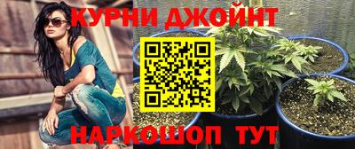 амф Гусь-Хрустальный