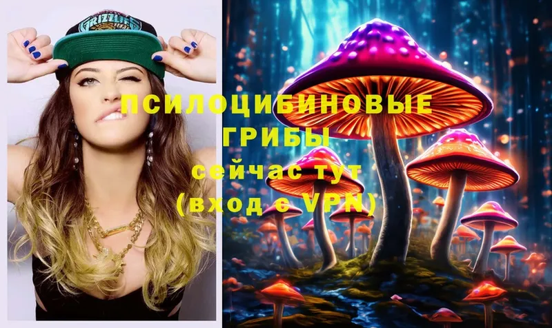 мега онион  продажа наркотиков  Кубинка  Псилоцибиновые грибы MAGIC MUSHROOMS 