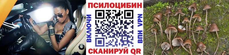 Галлюциногенные грибы мицелий  kraken онион  Кубинка  сколько стоит 