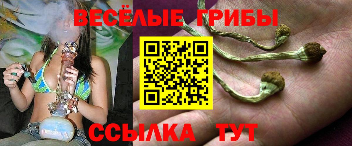 Галлюциногенные грибы Magic Shrooms  цены наркотик  Кубинка  Вход с VPN 